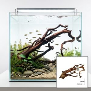 Tuskwood Akvarierot WYSIWYG Aito Bogwood Ainutlaatuinen 50 cm nro 33A