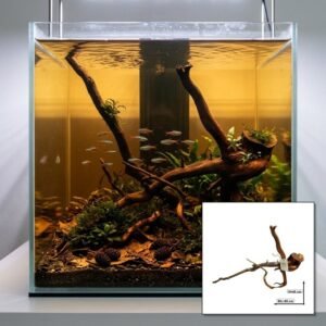 Tuskwood Akvarierot WYSIWYG Aito Bogwood Ainutlaatuinen 65 cm nro 40C