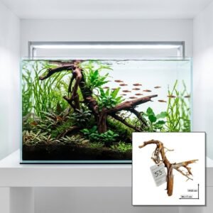 Tuskwood Akvarierot WYSIWYG Aito Bogwood Ainutlaatuinen 20 cm nro 53