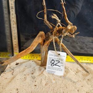 Tuskwood akvarierot i äkta bogwood