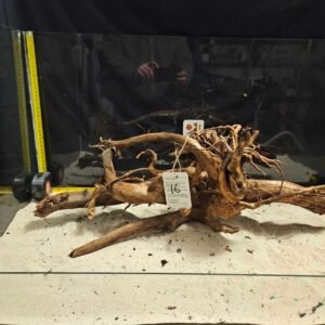 Tuskwood akvarierot i äkta bogwood, 40-50cm