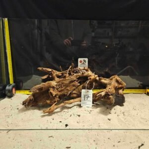 Tuskwood akvarierot i äkta bogwood, 40-50cm