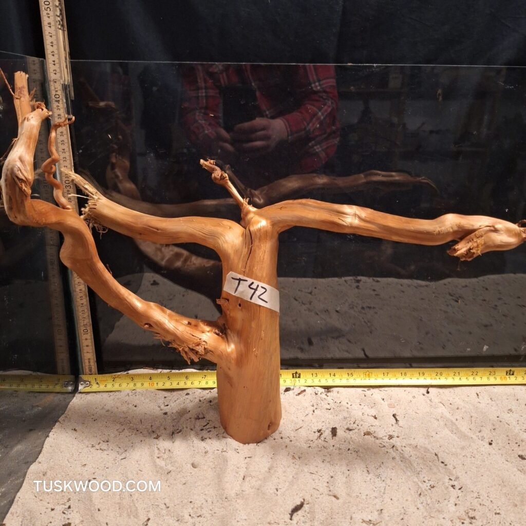 Tuskwood akvarierot i äkta bogwood