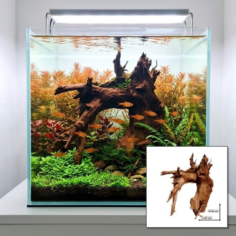 Sold Tuskwood aquarium root P242623, hero collage, approx. 34 cm