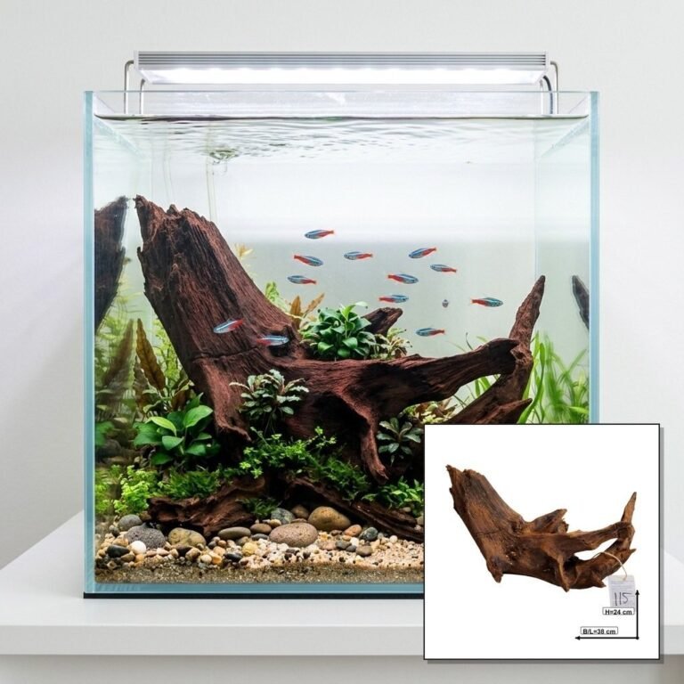 Sold Tuskwood aquarium root nr115A, hero collage, approx. 38 cm