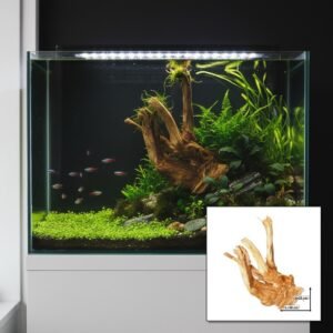 Tuskwood akvarierot WYSIWYG äkta bogwood 38 cm P032619 i aquascape-collage