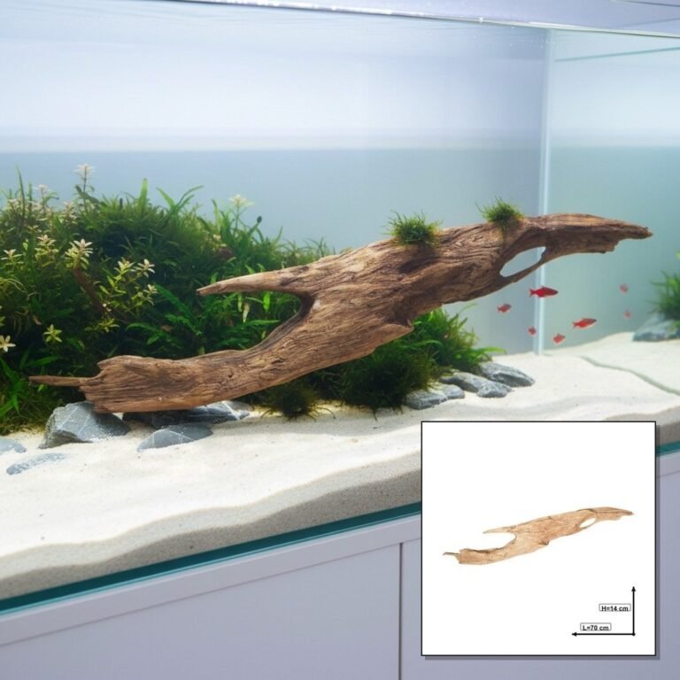 Sold Tuskwood aquarium root P122618, hero collage, approx. 70 cm