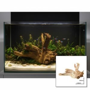Tuskwood akvarierot i äkta bogwood, 30 cm, P032618