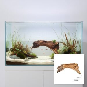 Tuskwood akvarierot WYSIWYG äkta bogwood 35 cm P162619 i aquascape-collage