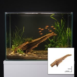 Tuskwood akvarierot WYSIWYG äkta bogwood 41 cm P172619 i aquascape-collage
