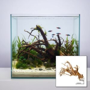 Tuskwood akvarierot WYSIWYG äkta bogwood 41 cm P232619 i aquascape-collage
