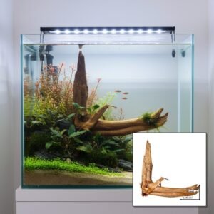 Tuskwood akvarierot WYSIWYG äkta bogwood 47 cm P252619 i aquascape-collage