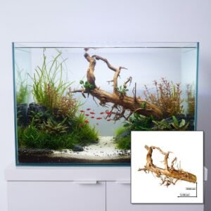 Tuskwood akvarierot WYSIWYG äkta bogwood 52 cm P292619 i aquascape-collage