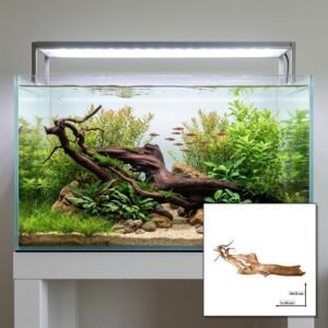 Tuskwood Akvarierot WYSIWYG Äkta Bogwood Unik 43 cm P062620