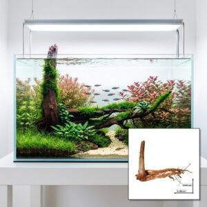Tuskwood Aquariumwortel WYSIWYG Echt veenhout Uniek 58 cm P082620