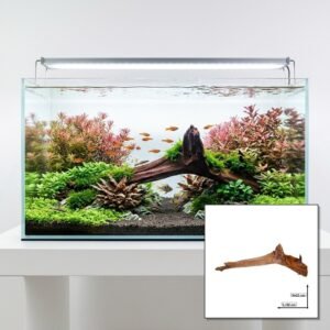 Tuskwood Akvaario Juuri WYSIWYG Aito Bogwood Unique 62 cm P092620