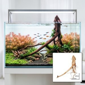 Tuskwood Akvaario Juuri WYSIWYG Aito Bogwood Unique 45 cm P112620