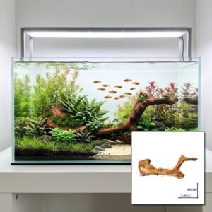 Tuskwood Aquariumwortel WYSIWYG Echt veenhout Uniek 38 cm P142620