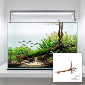 Tuskwood Aquariumwortel WYSIWYG Echt veenhout Uniek 27 cm P312620