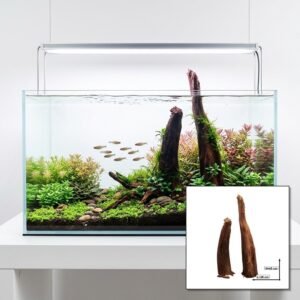 Tuskwood Akvaario Juurakko 2 kpl WYSIWYG Aito Bogwood Unique 45 cm S2412620