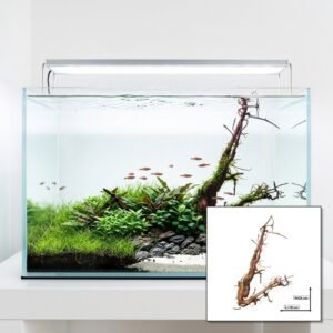 Tuskwood Aquariumwortel WYSIWYG Echt veenhout Uniek 24 cm P022621