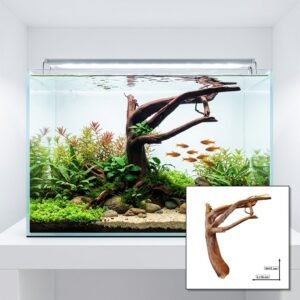 Tuskwood Akvarierot WYSIWYG Äkta Bogwood Unik 17 cm P082621