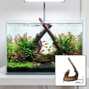 Tuskwood Aquariumwortel WYSIWYG Echt veenhout Uniek 35 cm P132621