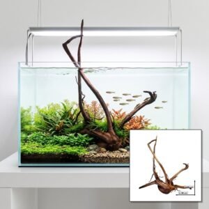 Tuskwood Akvarierot WYSIWYG Äkta Bogwood Unik 60 cm P162621