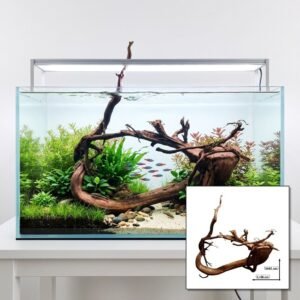 Tuskwood Akvarierot WYSIWYG Äkta Bogwood Unik 61 cm P222621