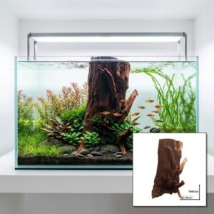 Tuskwood Aquarium Root WYSIWYG Genuine Bogwood Unique 46 cm P292621