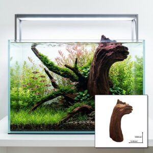 Tuskwood Aquariumwortel WYSIWYG Echt veenhout Uniek 40 cm P302621