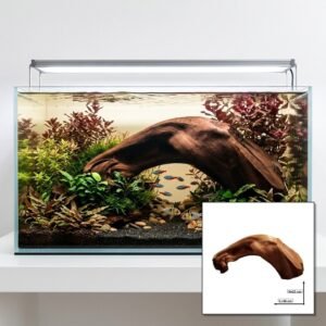 Tuskwood Aquariumwortel WYSIWYG Echt veenhout Uniek 45 cm P012622