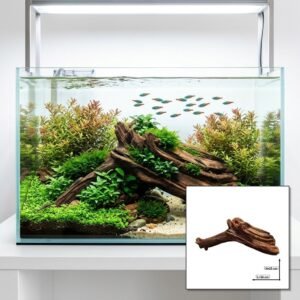 Tuskwood Aquarium Root WYSIWYG Genuine Bogwood Unique 54 cm P062622