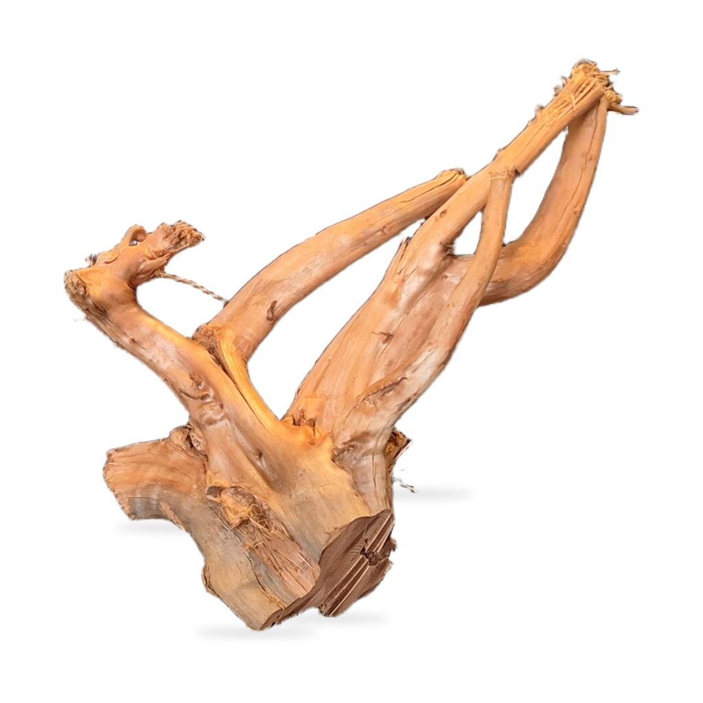 Tuskwood Aquarium Root WYSIWYG Genuine Bogwood Unique 30 cm 012638