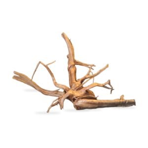 Tuskwood Aquarienwurzel WYSIWYG Echtes Bogwood Einzigartig 57 cm 022638