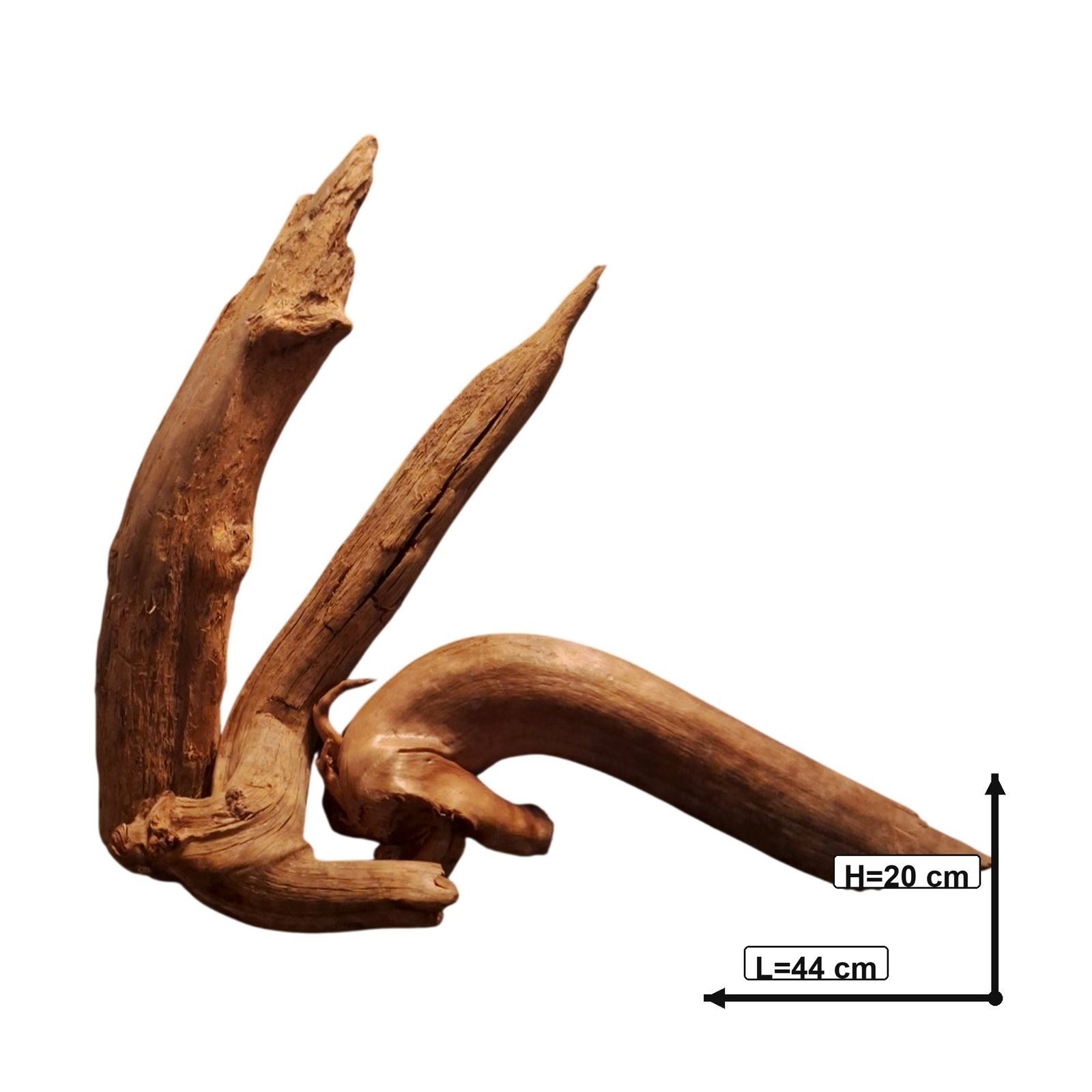 Tuskwood-akvaariojuurisetti, 3 osaa, WYSIWYG, aitoa bogwoodia, ainutlaatuinen 44 cm S3172622