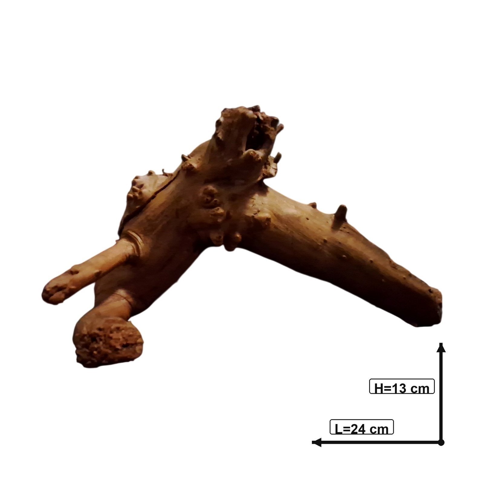 Tuskwood Akvaario Juuri WYSIWYG Aito Bogwood Unique 24 cm P142623