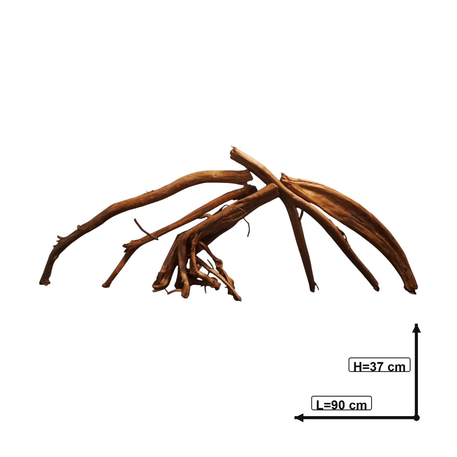 Tuskwood Aquariumwortel Set van 5 stuks WYSIWYG Echt veenhout Uniek 90 cm S5132623