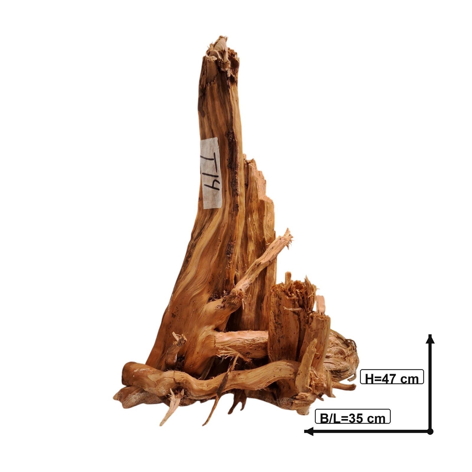 Tuskwood Aquarium-Zierholz WYSIWYG Echtes Bogwood Einzigartig 47 cm NrT14