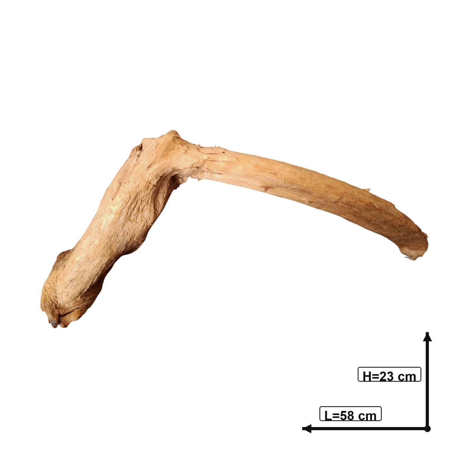 Tuskwood akvarierot i äkta bogwood, 58 cm, P182618