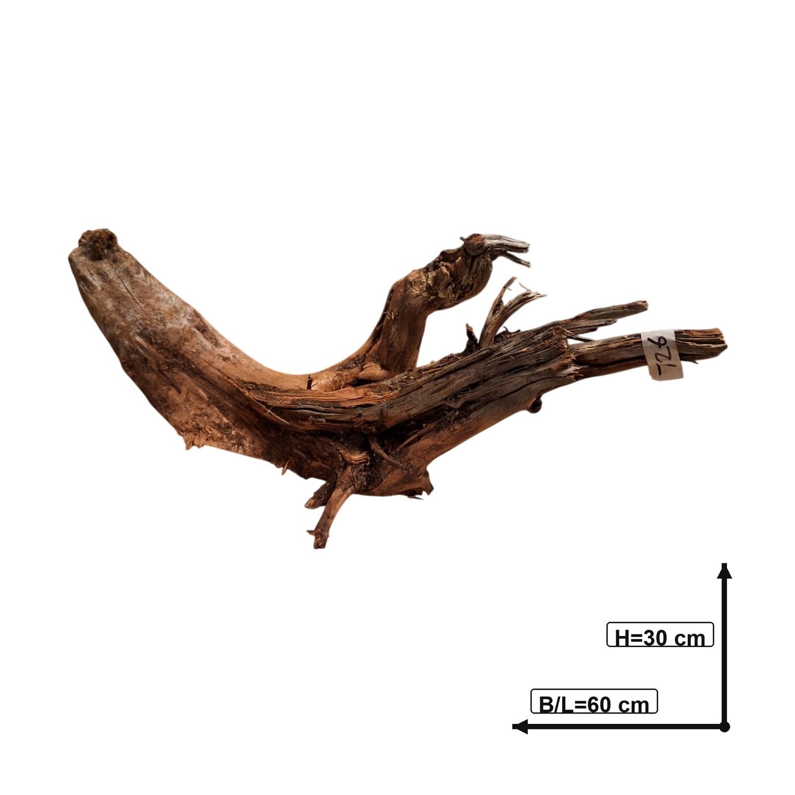 Tuskwood Aquarium-Zierholz WYSIWYG Echtes Bogwood Einzigartig 60 cm NrT26