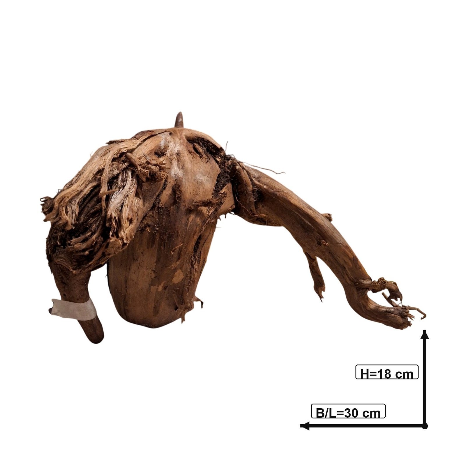 Tuskwood Akvarierot WYSIWYG Äkta Bogwood Unik 30 cm NrT29