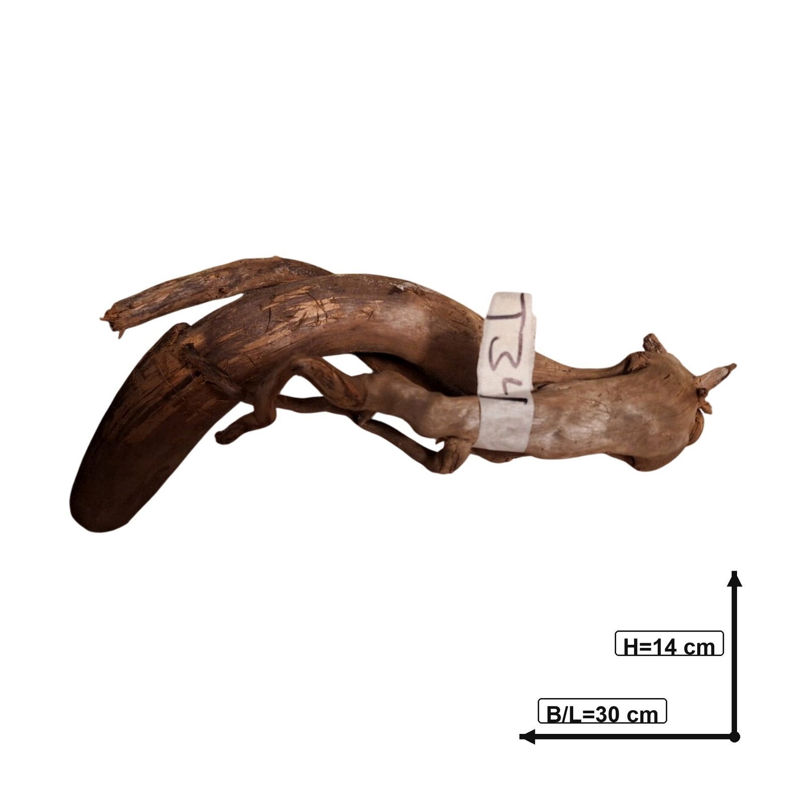 Tuskwood Akvarierot WYSIWYG Äkta Bogwood Unik 30 cm NrT34
