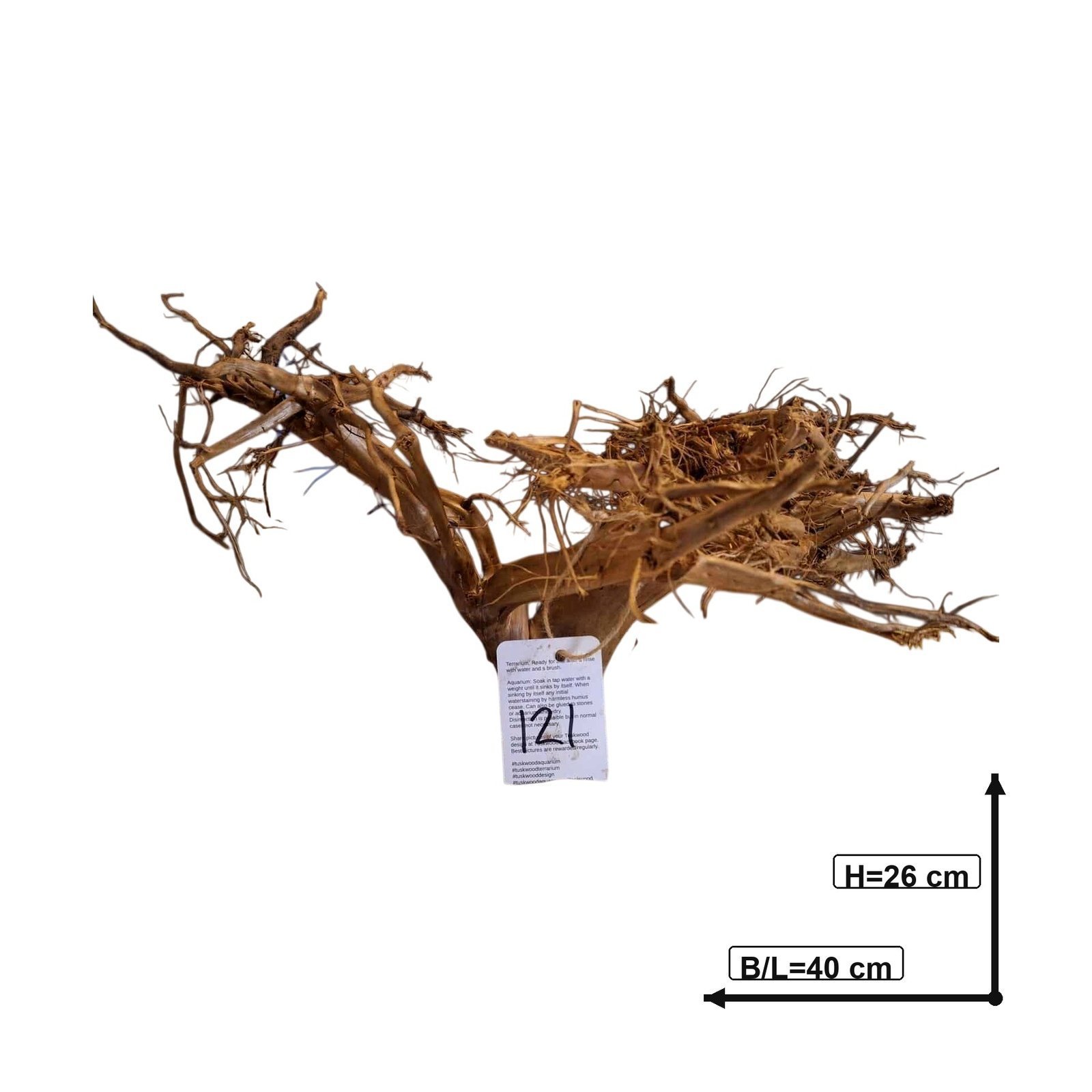 Tuskwood Aquarienwurzel WYSIWYG Echtes Bogwood Einzigartig 40 cm Nr. 121AA