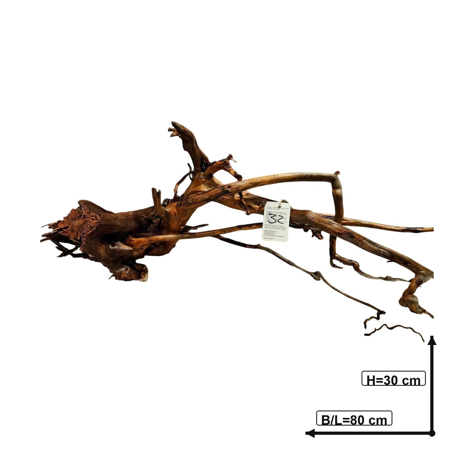 Tuskwood Aquarium-Wurzel WYSIWYG Echtes Bogwood Einzigartig 80 cm Nr. 32A