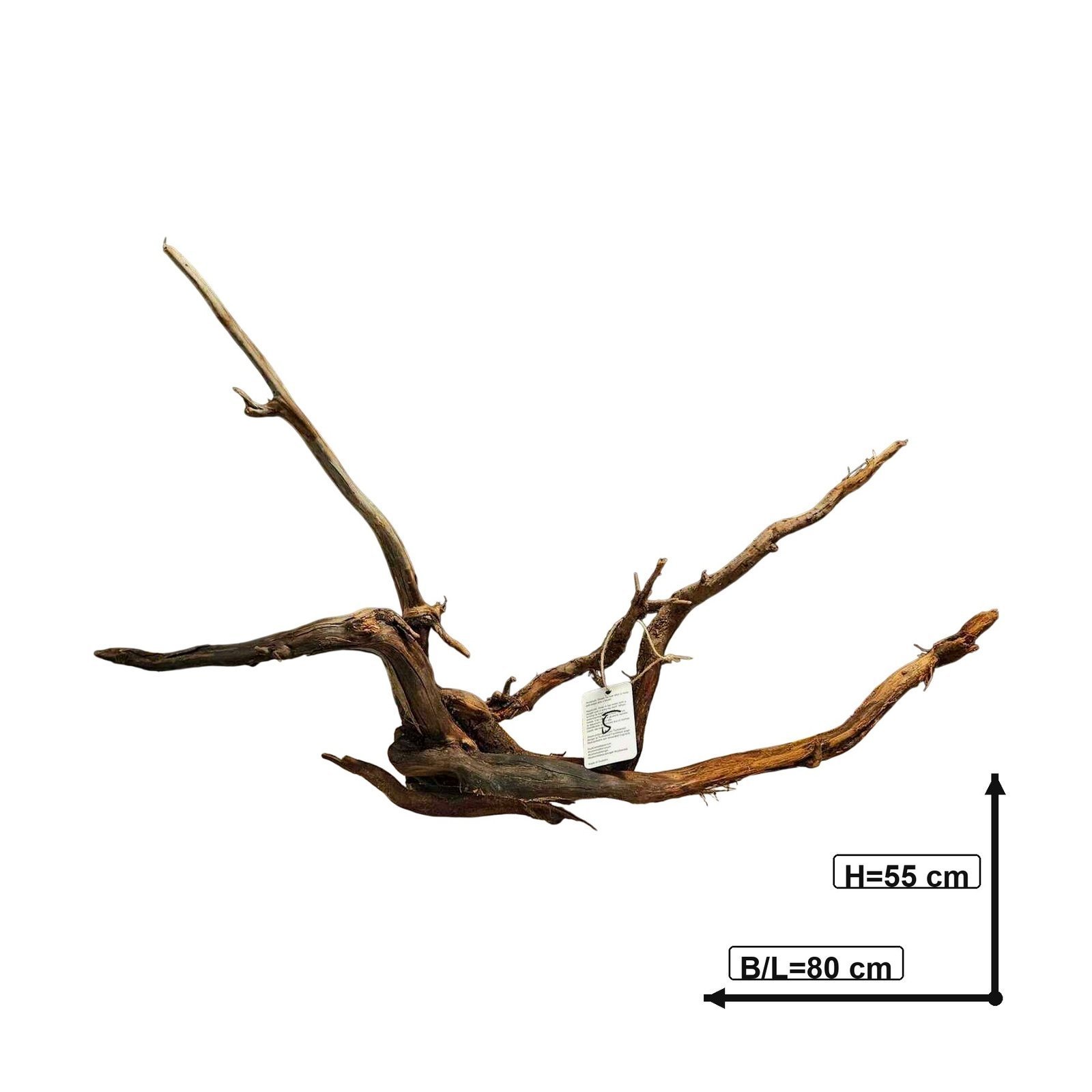 Tuskwood Aquarium-Zierholz WYSIWYG Echtes Bogwood Einzigartig 80 cm Nr. 5