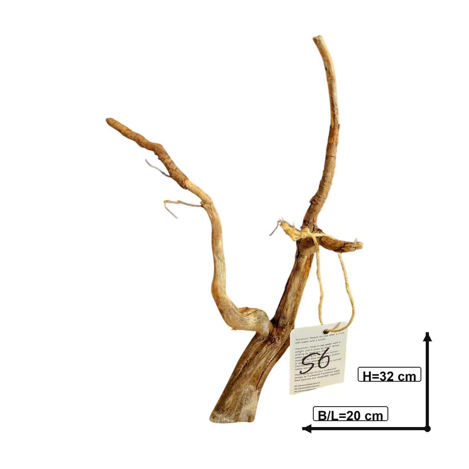 Tuskwood Aquarienholz WYSIWYG Echtes Bogwood Einzigartig 32 cm Nr. 56