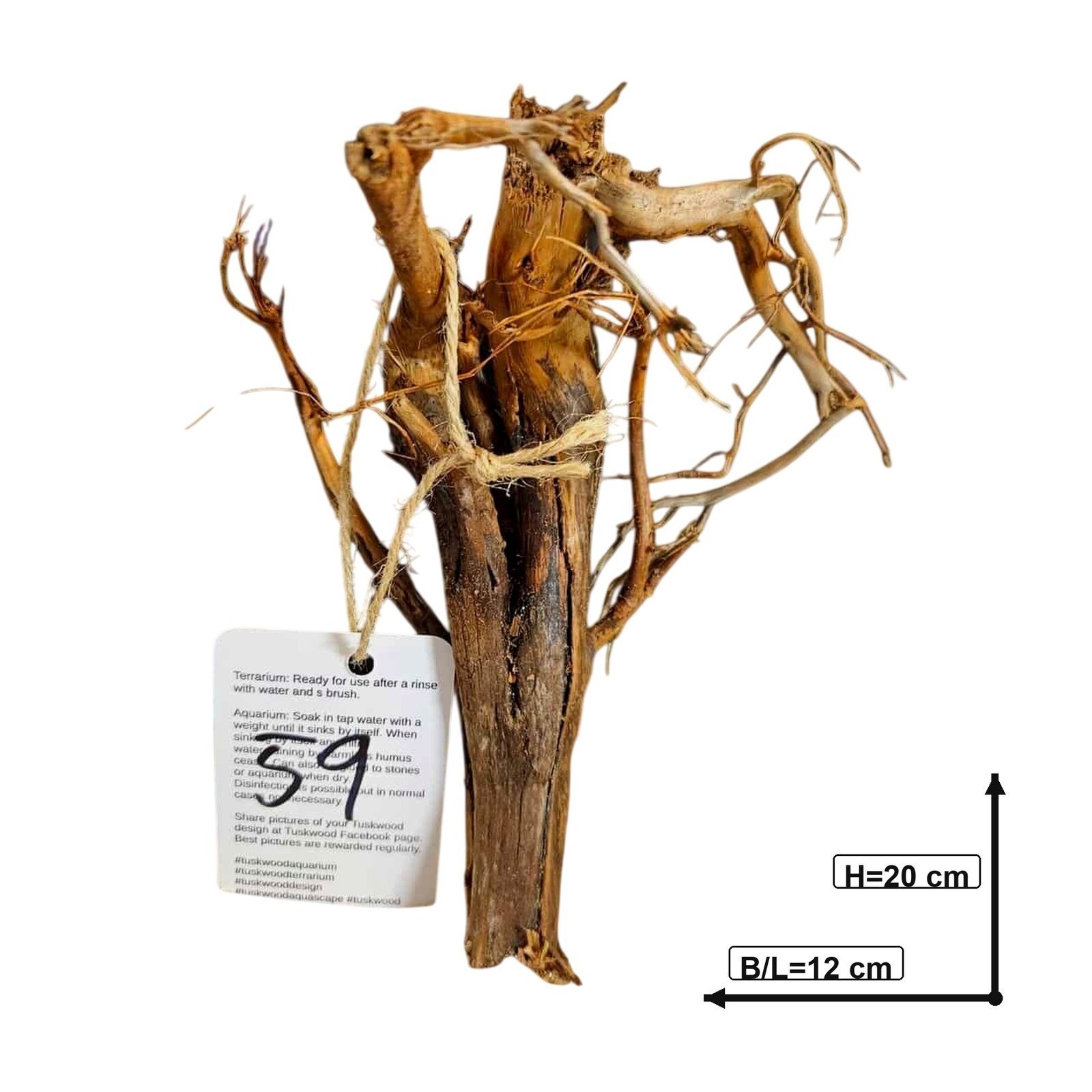 Tuskwood Aquarienholz WYSIWYG Echtes Bogwood Einzigartig 20 cm Nr. 59