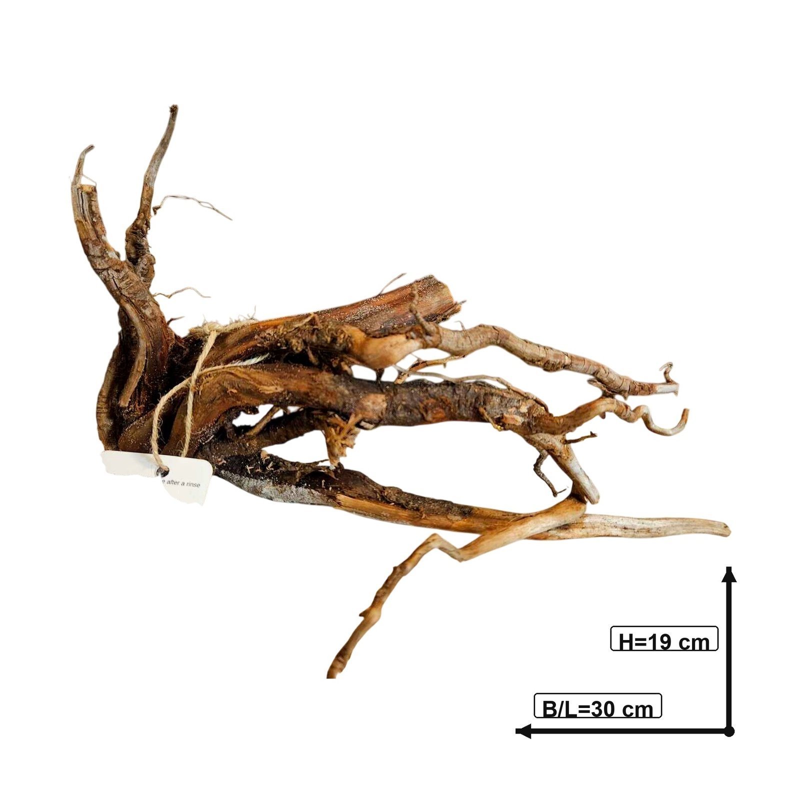 Tuskwood Akvarierot WYSIWYG Äkta Bogwood Unik 30 cm nr72A