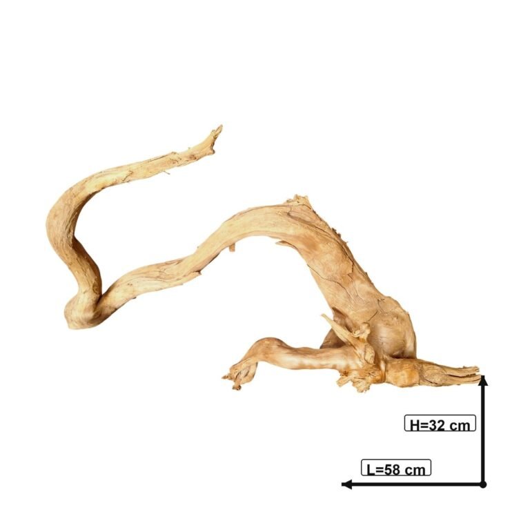 Sold Tuskwood aquarium root P202618, white-background image, approx. 58 cm